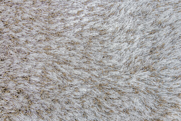abstract background of beige carpet texture close up