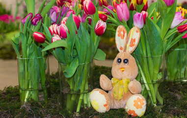 Pretty multicolored fresh spring flowers - tulips, in a glass vases on a table with a green moss and a toy rabbit during celebration Easter. Spring greeting card or banner. Selective focus.