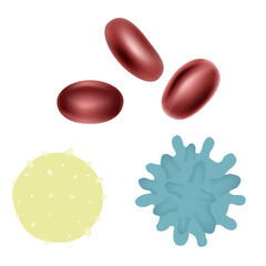 Erythrocyte, Neutrophils And Macrophage, Isolated On White Background, Vector Illustration