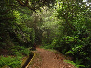 Ścieżki turystyczne wzdłuż kanałów, lewad do zbioru wody deszczowej z gór, Madera, Portugalia 
