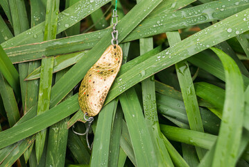 Fishing lure on the grass