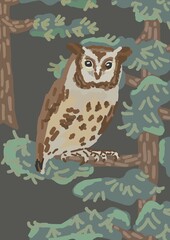 owl on a branch