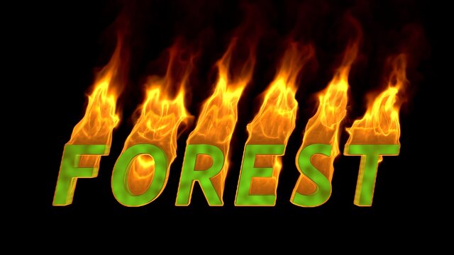 The word Forest is on fire. Forest fire concept. Global warming. Environmental Protection. Video about ecology. 3D render