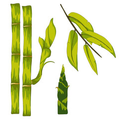 Set of bamboo branches, leaves and shoot. Cartoon style vector illustration.