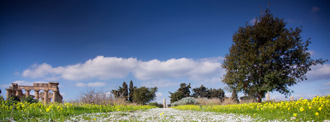 Temple of Silinunte in Sicily