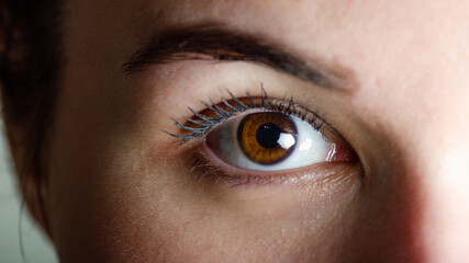 Woman with beautiful eye