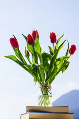 bunch of tulips in a glass vase against blue sky, colorful spring flowers on blurred background with free copy space, springtime concept
