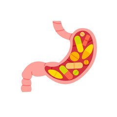 Stomach full of pills and medications isolated vector illustration. Cancer treatment design element. Unhealthy gut concept art.