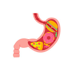 Stomach full of unhealthy food flat cartoon illustration. Overeating problem, diabetic prevention banner design. Hunger symptom, belly disease  background