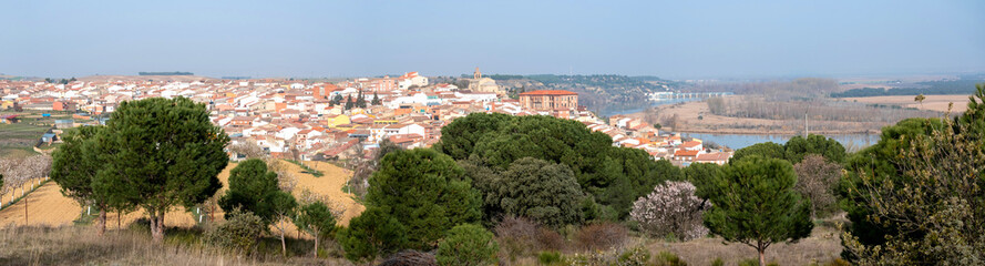Fototapeta na wymiar Panoramic view of the village of Castronuño located on the banks of the Duero river in Valladolid, Spain
