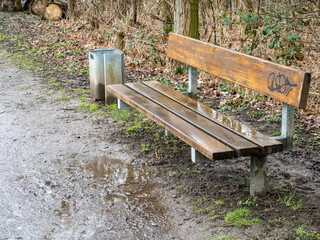 Naklejka premium Bank im Wald im Regen