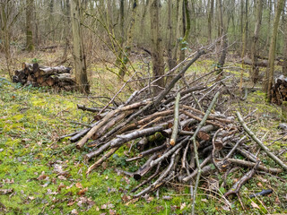Holz Schäden nach Unwetter nass