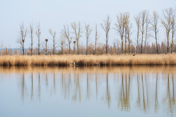 Landscape of the Duero River in the 