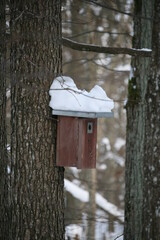 Vogelhaus / Nistkasten im Wald im Winter