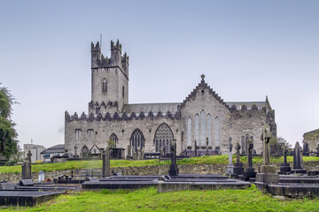 Fototapeta na wymiar St Mary's Cathedral, Limerick, Ireland