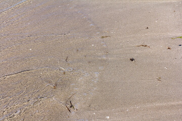 Wet sand as a texture. Sand background