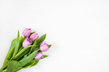 Tulips on a white background. Festive floral concept with clean text space. Flat lay. View from above.