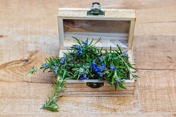 Rosemary branches in a beautiful vintage box