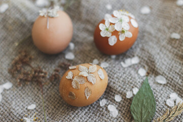Fototapeta na wymiar Stylish Easter eggs decorated with dry flowers and cherry blossom petals on rustic linen napkin