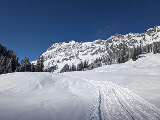 SKIMO - Ski Mountaineering, Ski tours in the Glarus region. Pure winter landscape with snowy trees with the ascent trail and blue sky. Winter Sport