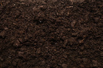 Black land for plant background.