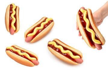 Hot dog isolated on white background. Copy space.
