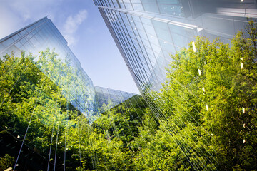 Fototapeta green city - double exposure of lush green forest and modern skyscrapers windows obraz