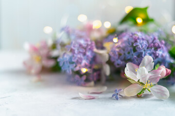 Beautiful pink and lilac flowers on blurred light background with lights. Spring floral background with space for text.