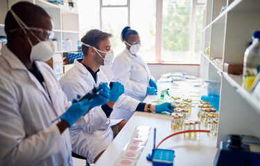 Diverse group of technicians working with samples in a lab