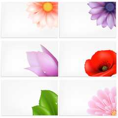 Vector Set Of Greeting Cards With Flowers, Vector Illustration
