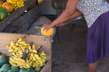 A local Sri Lankan woman prepares a refreshing tropical king coconut or thambili (Cocos nucifera) at a rural village roadside fruit stand in Sri Lanka.