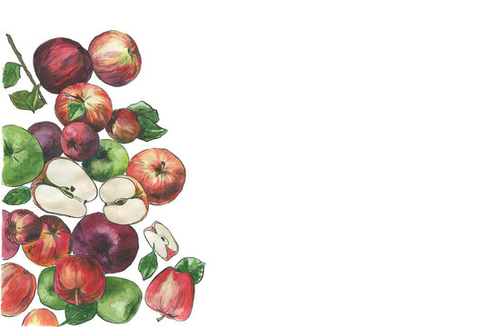 Watercolor illustration. Frame. A pile of apples on a white background. Healthy food. Vegan. Vegetarian. Vegetables. Mediterranean diet. 