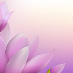 Obraz na płótnie Canvas Fresh Magnolia, Vector Illustration