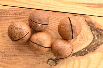 Several ripe brown macadamia nuts, close-up, on a wooden table.