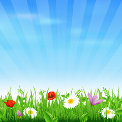 Fototapeta na wymiar Sunburst Background With Flower And Grass, Vector Illustration