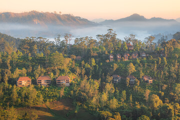 Golden sunset or sunrise light across the jungle hill country landscape in the misty village of Ella, Sri Lanka.