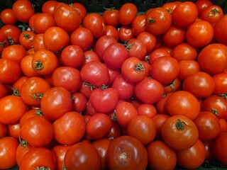 lot of tomatoes in the market closeup photo