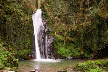 Fototapeta na wymiar Waterfall with a lot of water and a lot of height, surrounded by green vegetation and trees, in the middle of a forest. Landscape, nature, outdoors