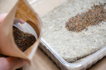 Close up microgreen seeds in pack on background of dry linen growing mat with seeds in plastic...