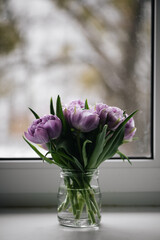 Close up purple tulips photo. Spring concept. natural girly background. flowers design. Slow living mindful life