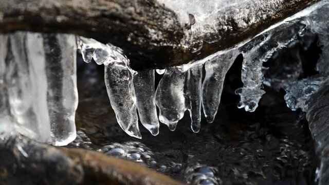 close up with frozen branches falling into a small mountain river flowing through a forest in early spring