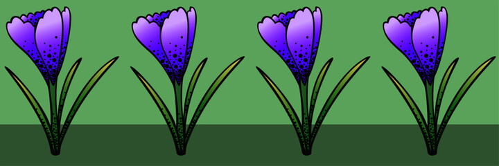 Vector illustration, Crocus flower seamless pattern, border