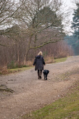 Morning walk with the dog on Hindhead common