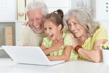 Grandparents with her granddaughter using laptop