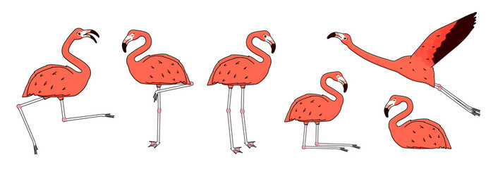 Set van Vector overzicht cartoon roze perzik flamingo& 39 s geïsoleerd op een witte achtergrond. Doodle dier is actief, danst, vliegt, verheugt zich, slaapt, rust, ontspant, droomt, loopt. Verschillende poses illustratie.
