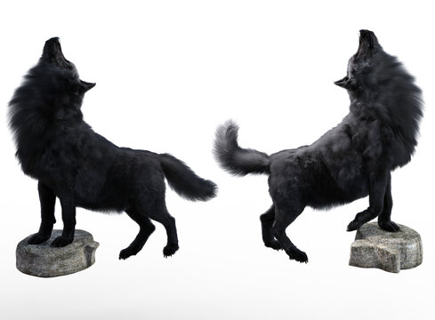 Black wolves howling render with white background	