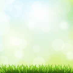 Fototapeta na wymiar Green Grass And Spring Background, Vector Illustration.