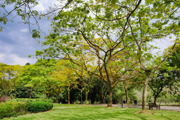 Fototapeta na wymiar Stadtpark in Singapur 