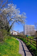 chemin randonnée urbain printemps lyonnais