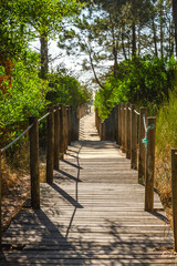 Wooden footbridge leading to the beach across the dunes in protected area